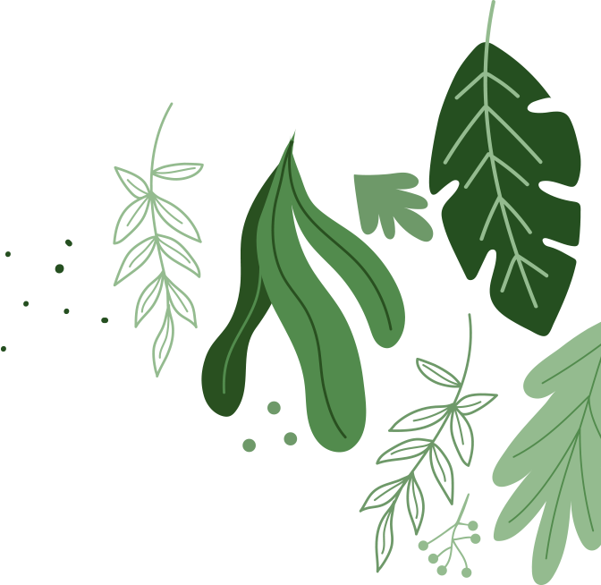 Different type of green leaf